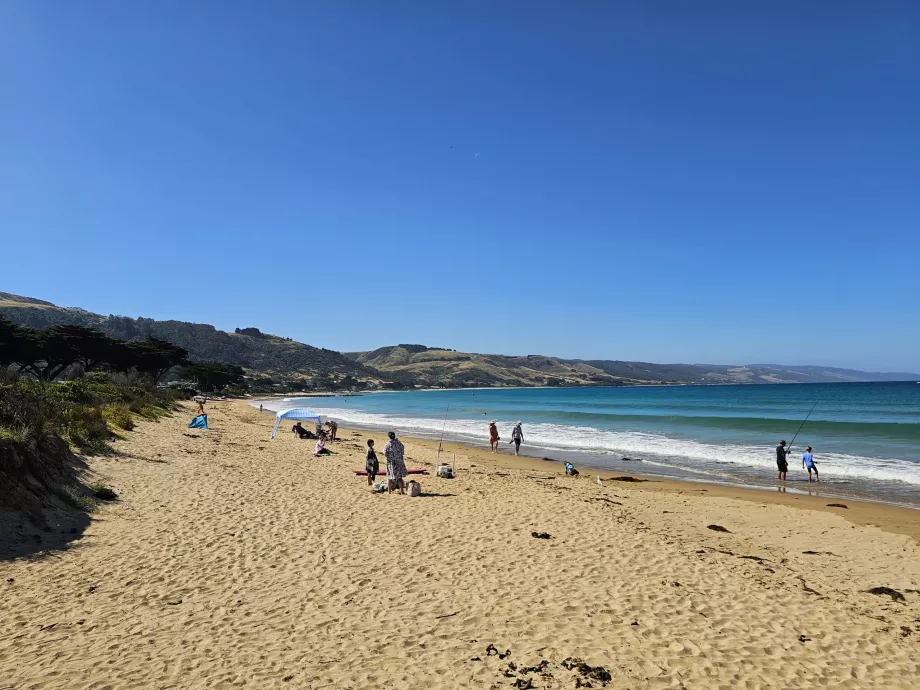 Plaja Apollo Bay