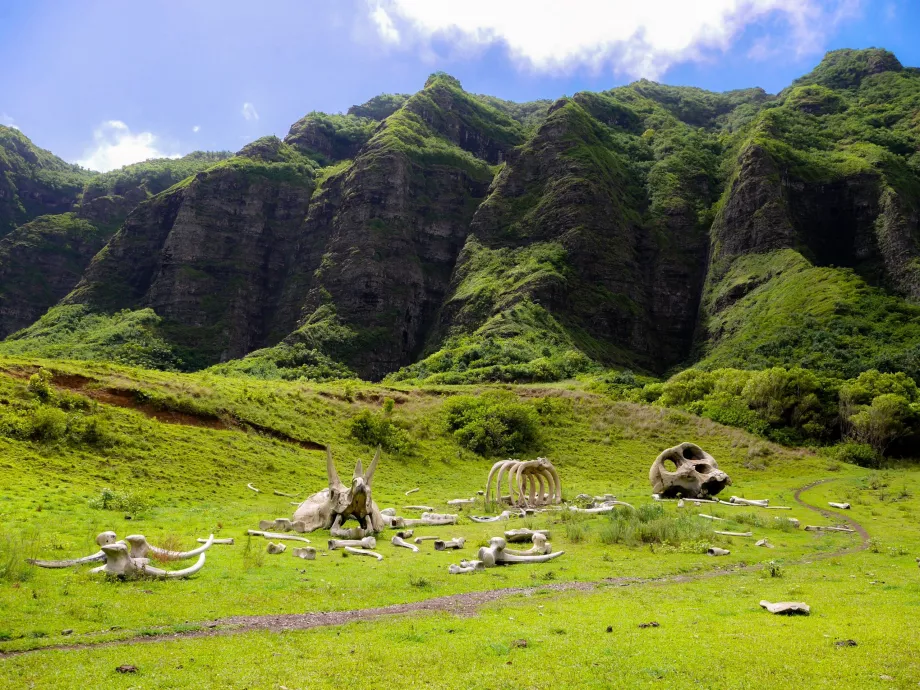 Ferma Kualoa