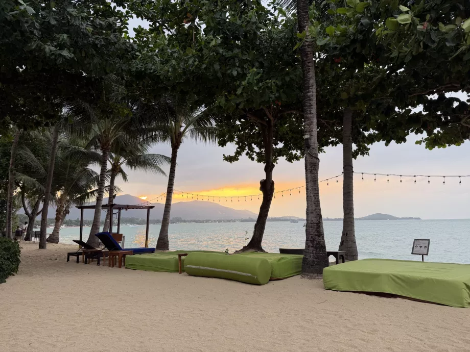 Plajă de hotel cu șezlonguri la apus de soare