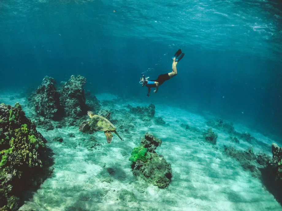 Snorkeling Oahu