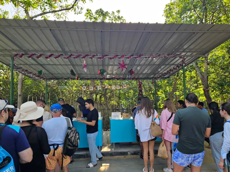 Check-in înainte de plecare la doc (și plata taxei de intrare în parcul național)