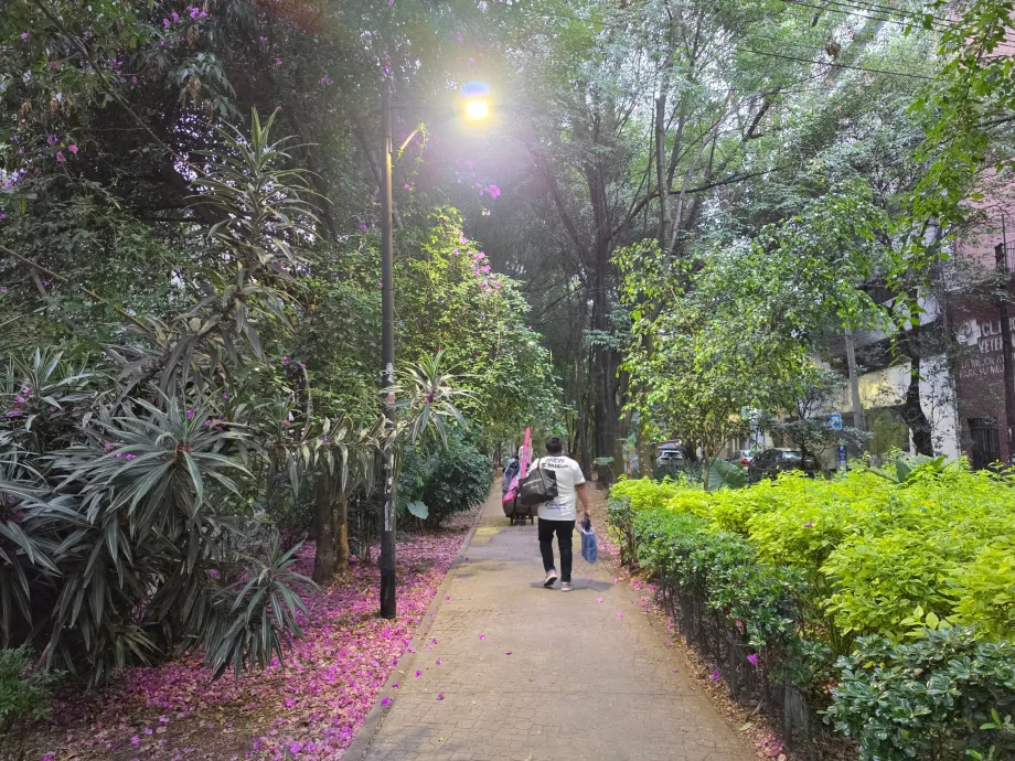 Cartierul Condesa
