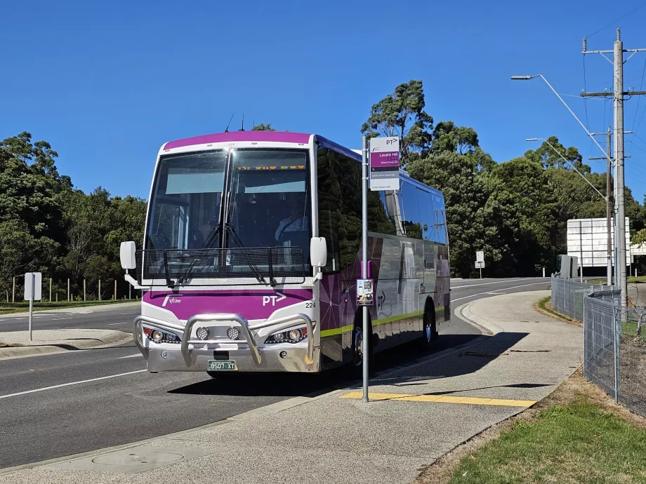 Autobuz V/Linie