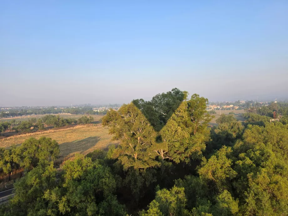 Zbor pe treetops