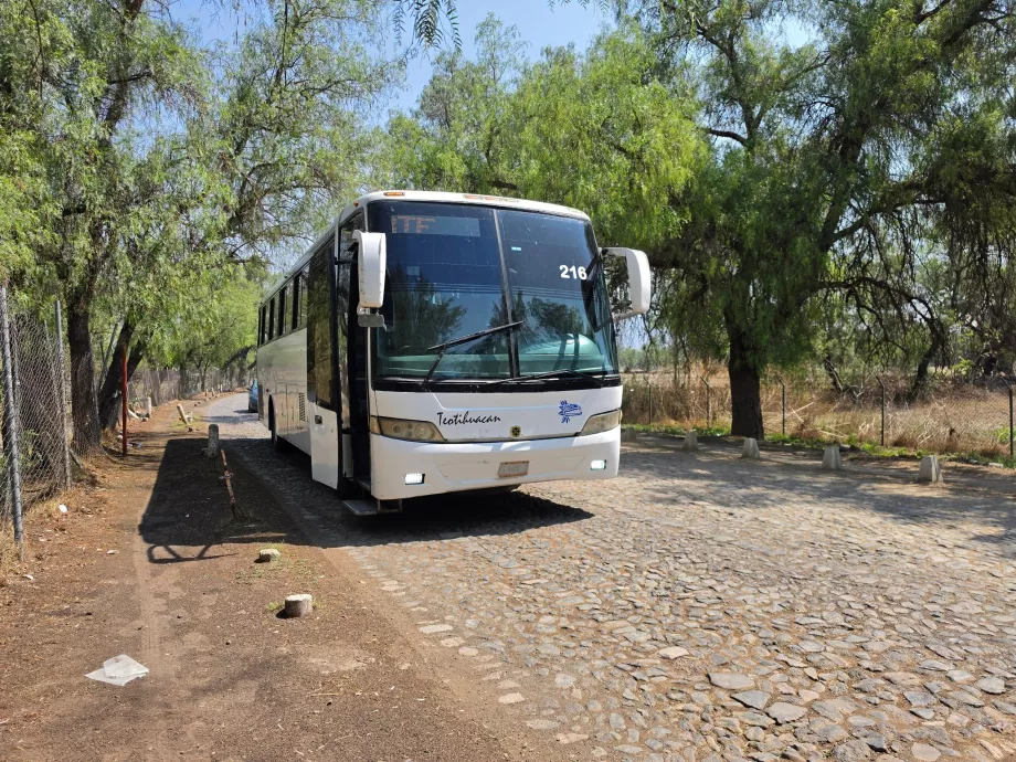 Autobuz Teotihuacán <-> Mexico City