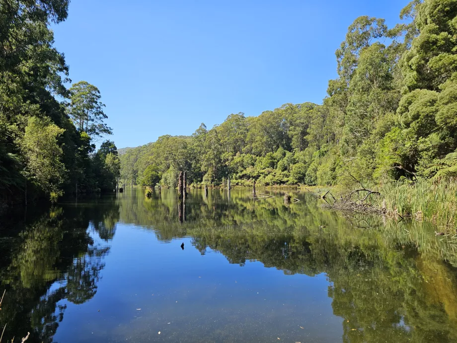 Lacul Elizabeth