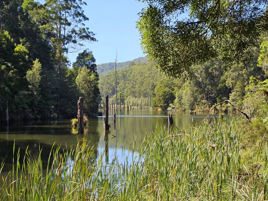 Lacul Elizabeth
