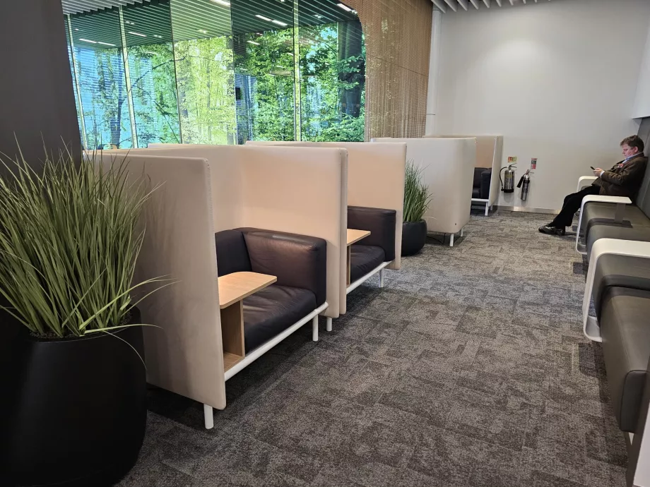 Stând în salonul senatorilor