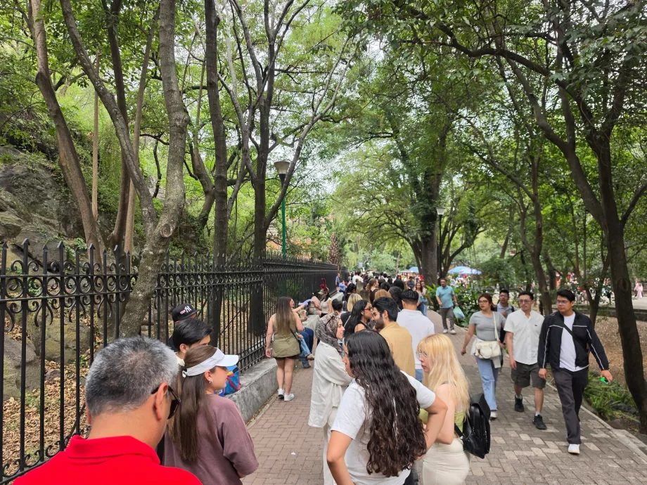 Castelul Chapultepec, coadă pentru intrare