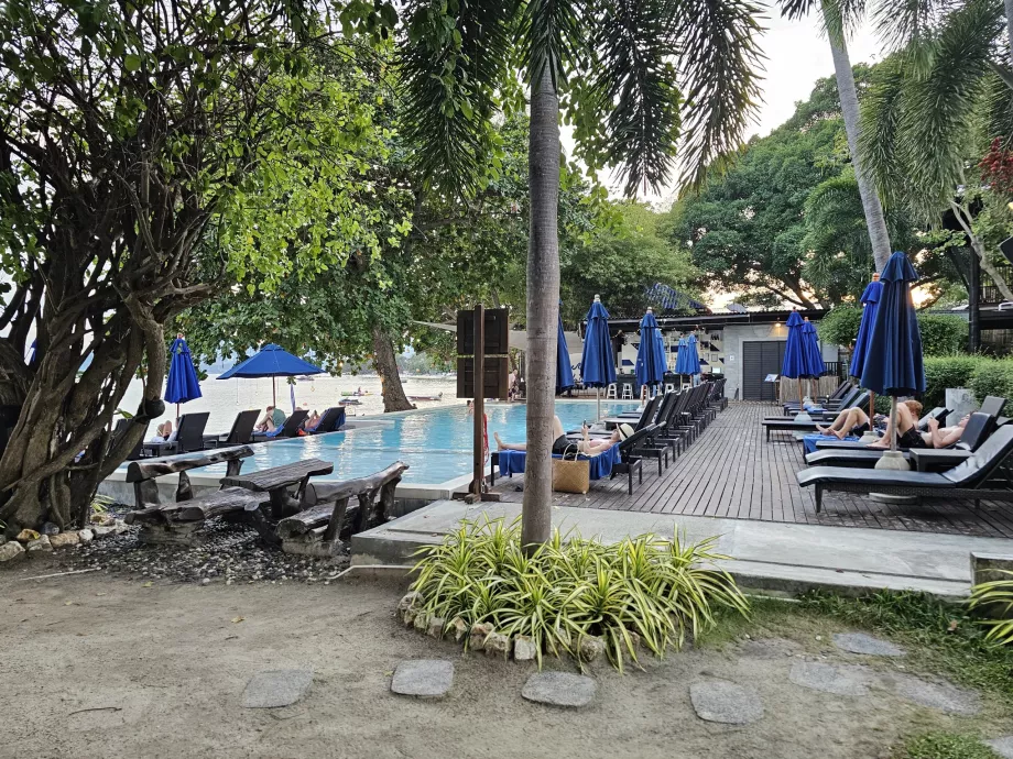 Piscină cu șezlonguri