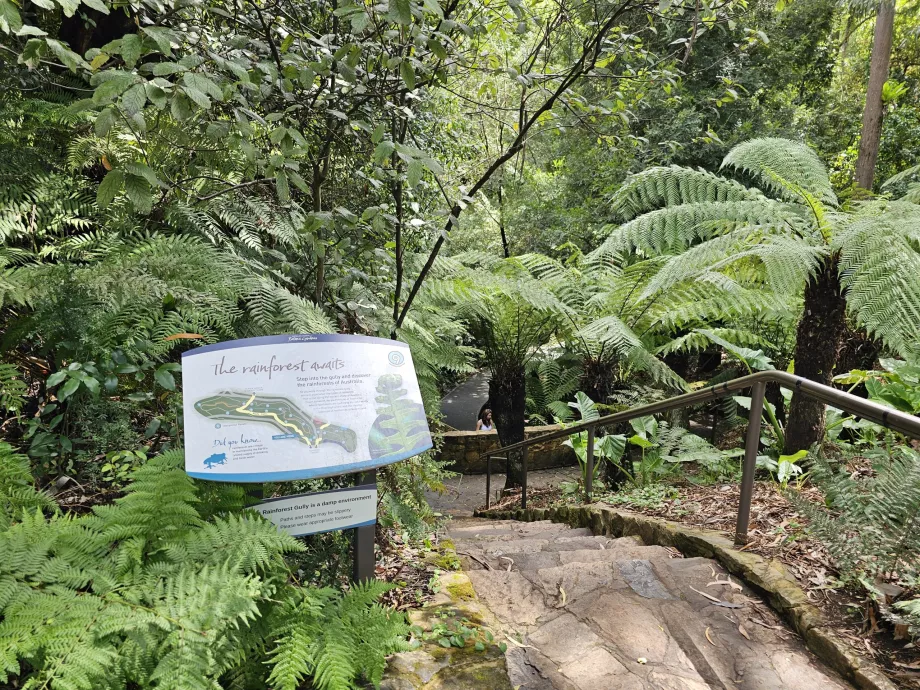 Grădina botanică