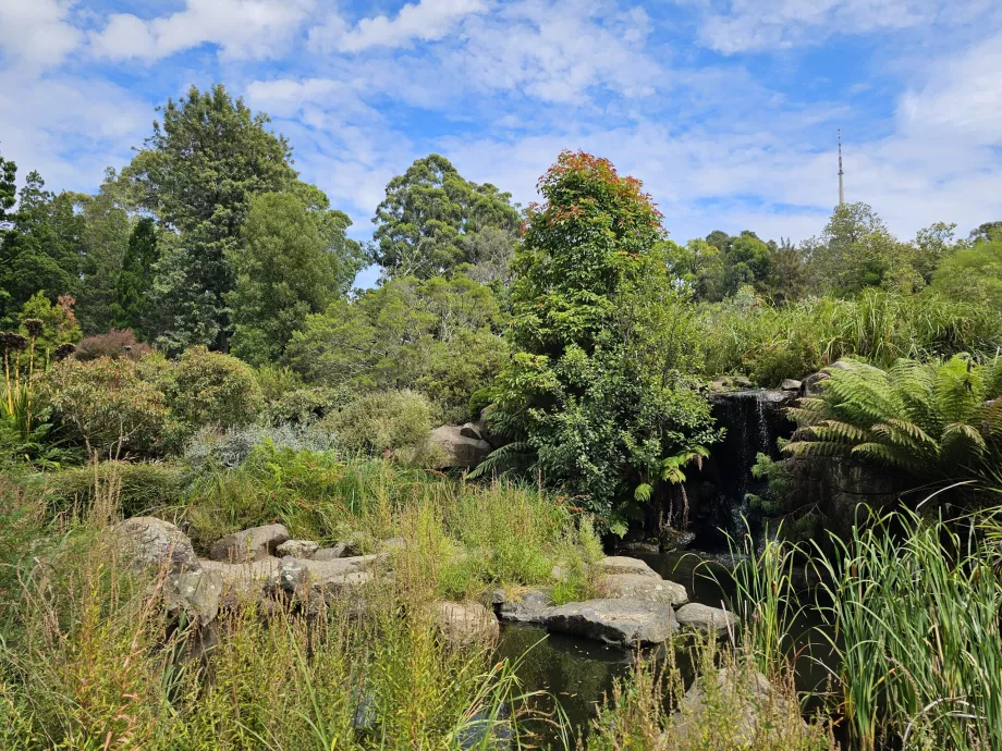 Grădina botanică