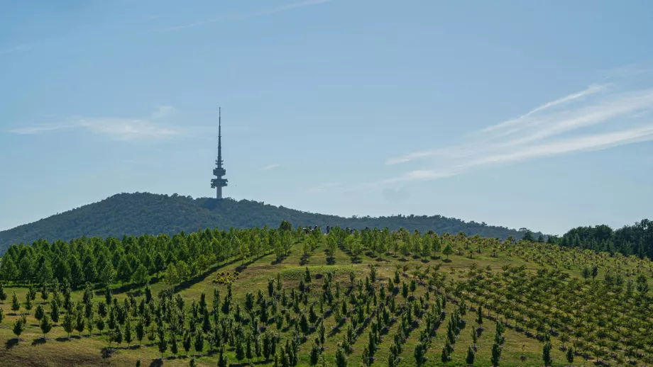 Arboretumul Național