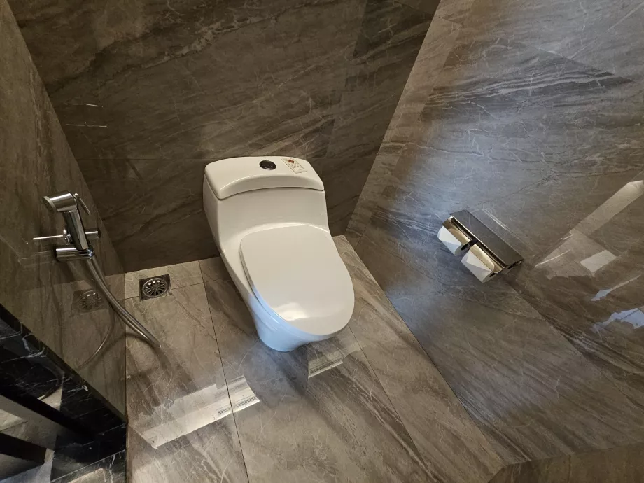 Toaletă cu duș bidet