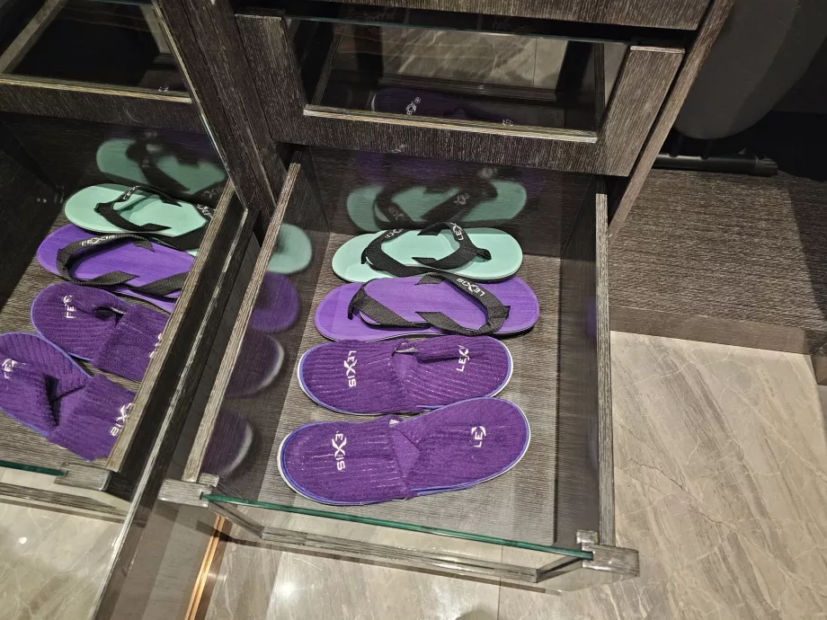 Flip-flops și papuci