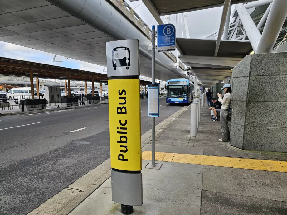 Stația de autobuz City, Terminalul 3