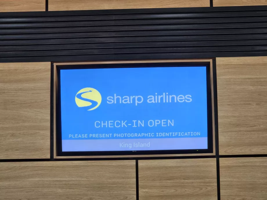Înregistrare la aeroport