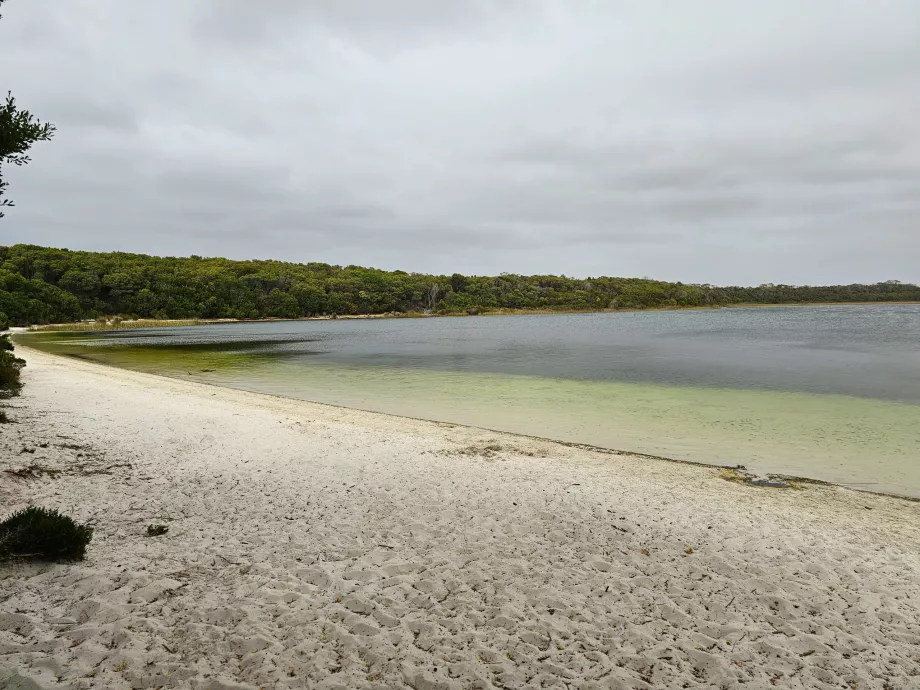 Lacul Martha Lavinia