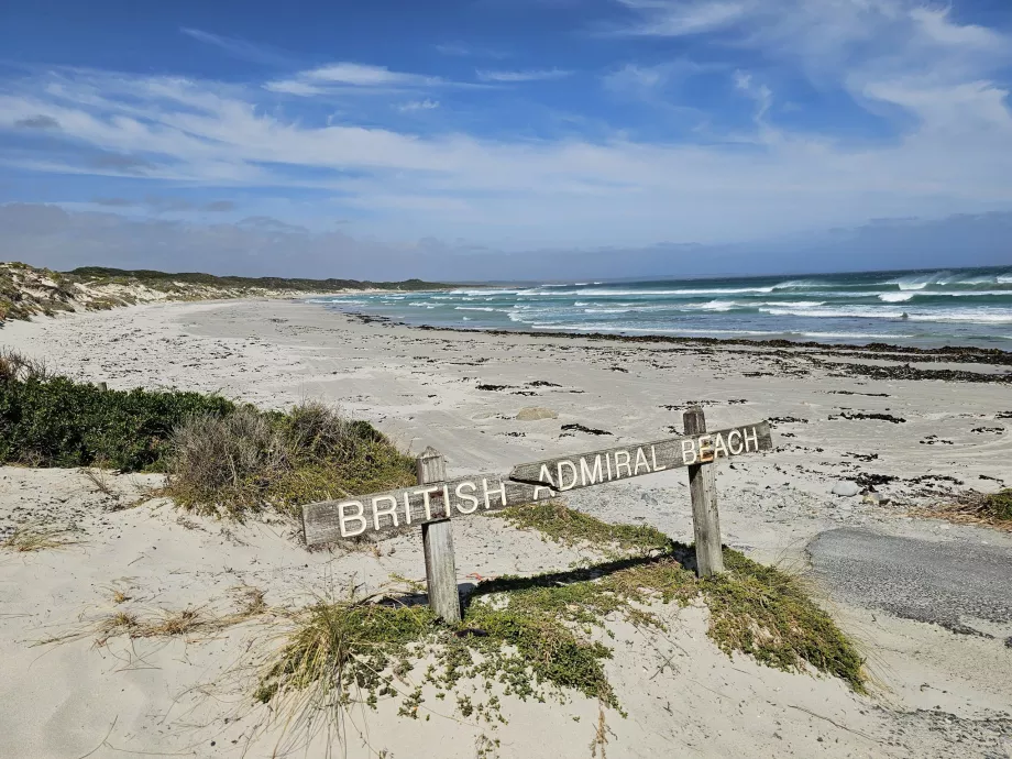 Amiralul britanic Beach