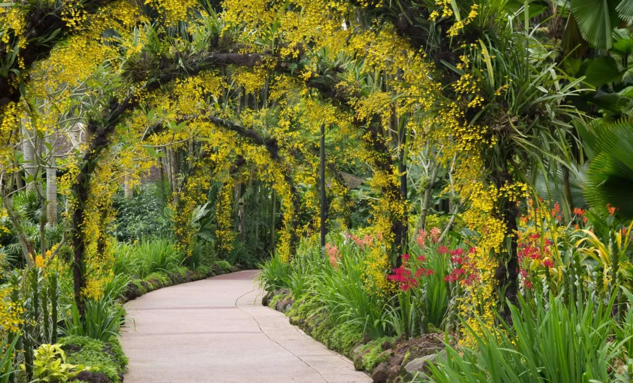 Grădina Botanică din Singapore