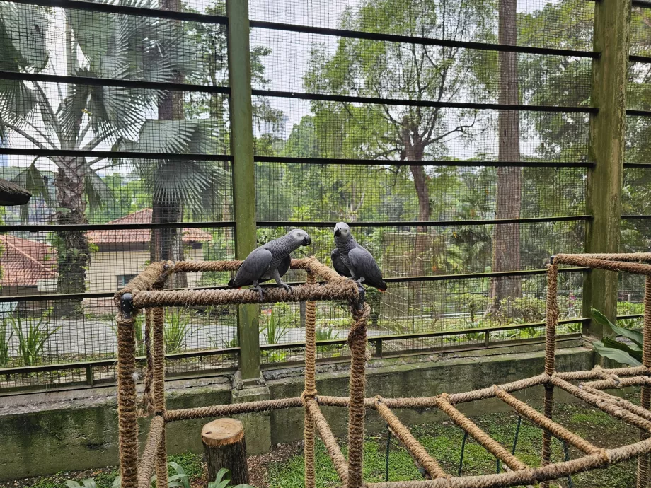 Parcul de păsări