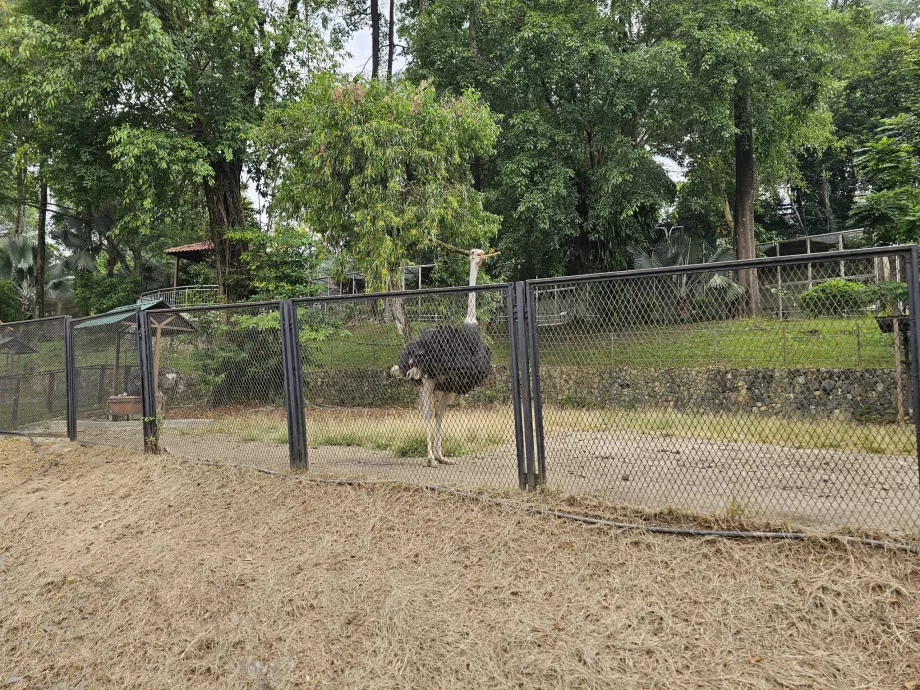 Parcul de păsări
