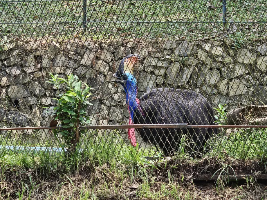 Parcul de păsări