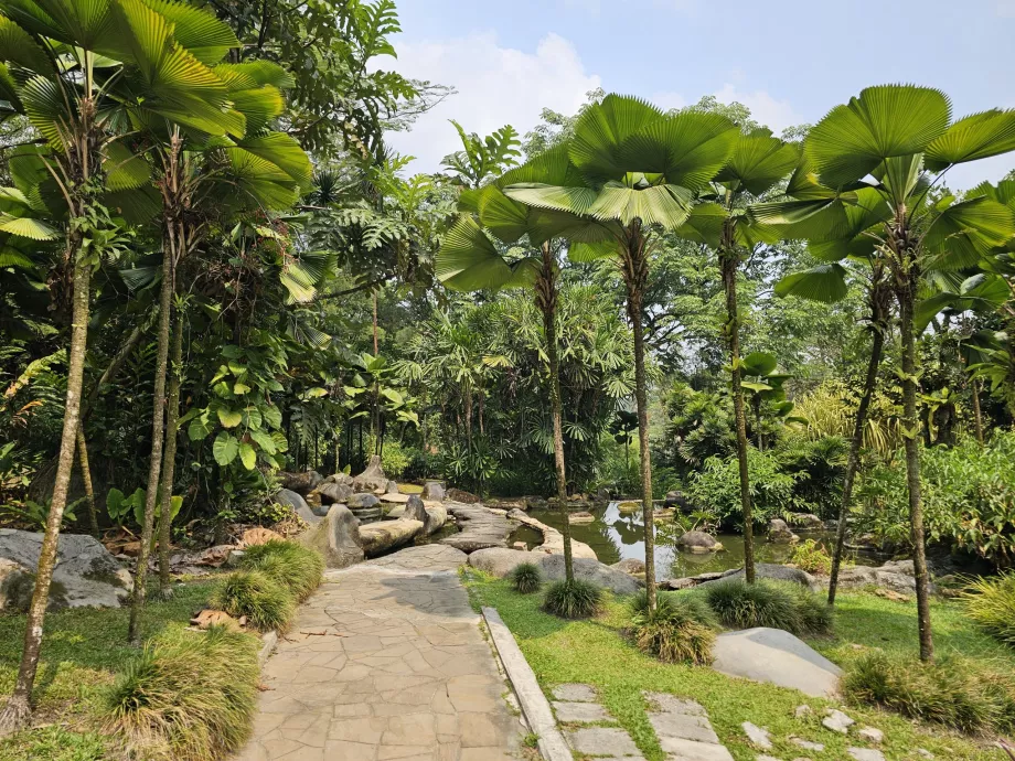 Grădina botanică
