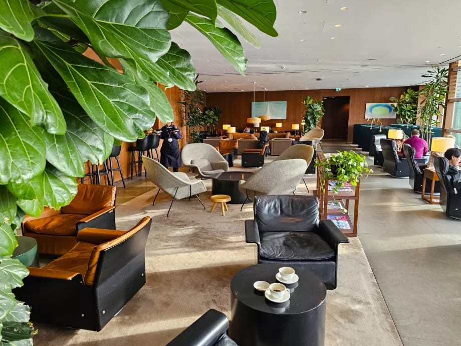 Mediul general al salonului