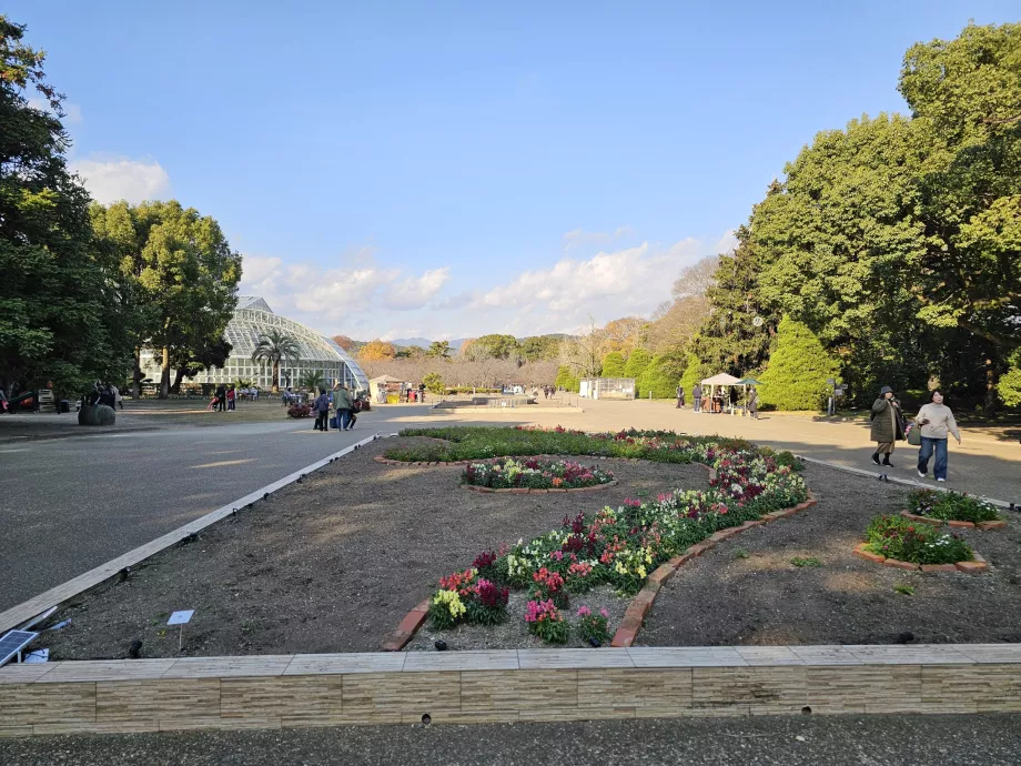 Grădinile botanice din Kyoto