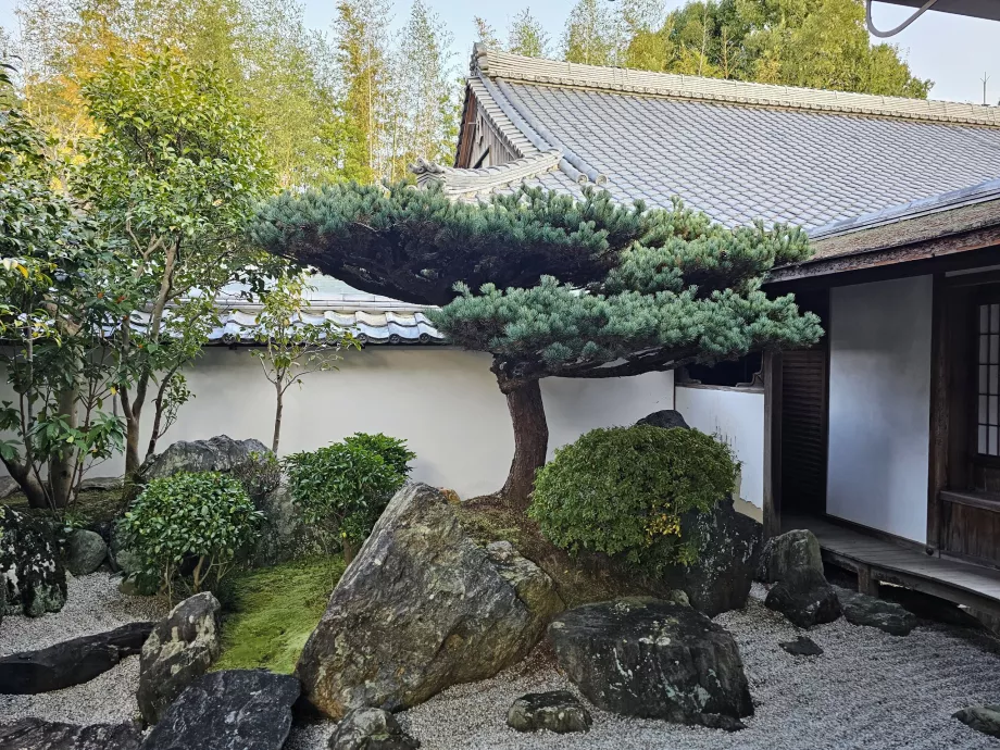 Grădina Zen Daisen-in din Daitoku-ji