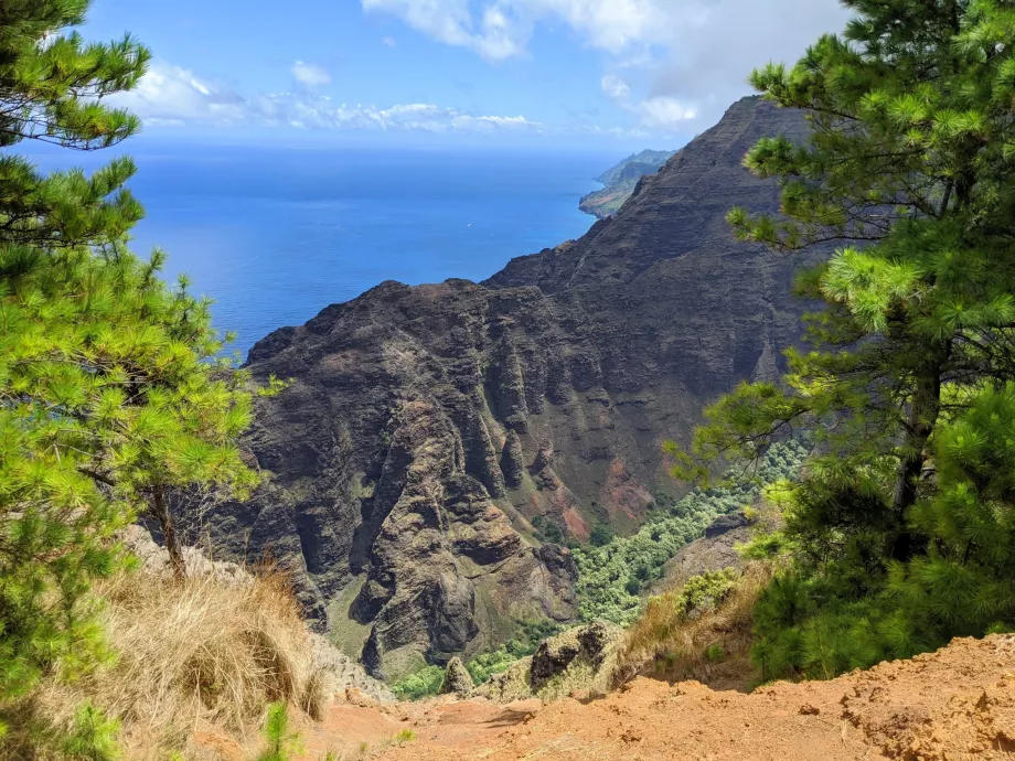 Vedere Kauai
