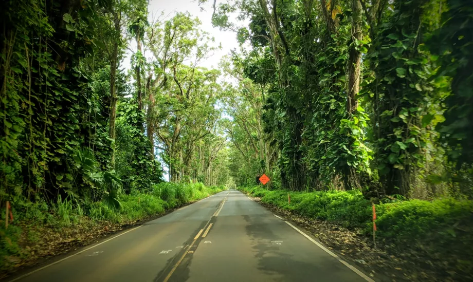 Drumul Kauai