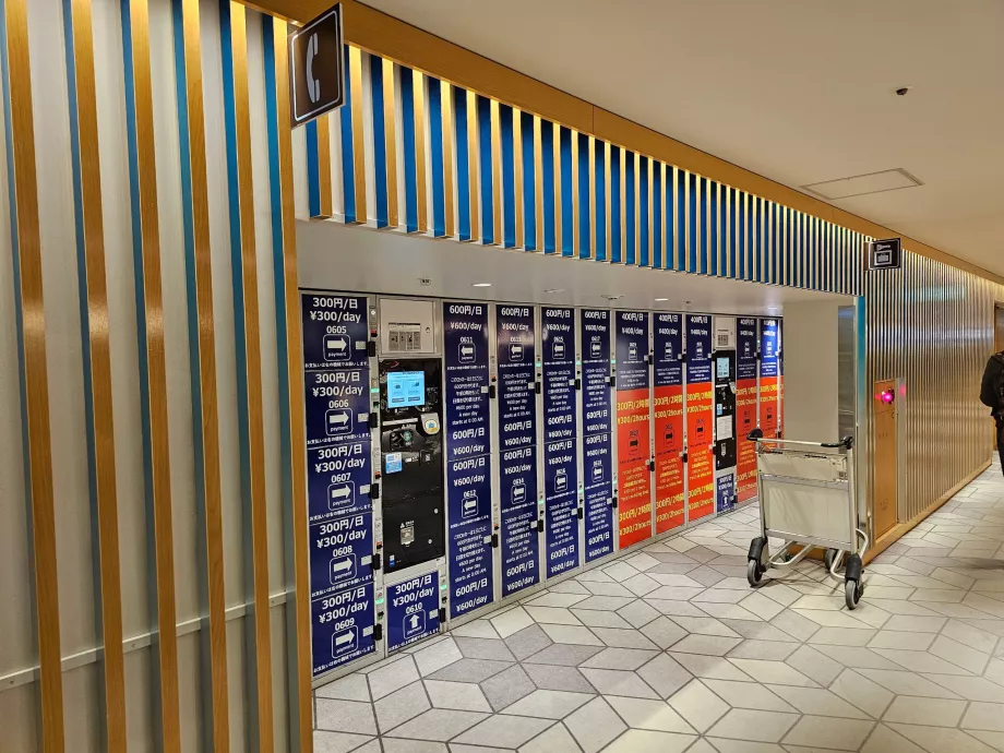 Dulapuri pentru depozitarea bagajelor