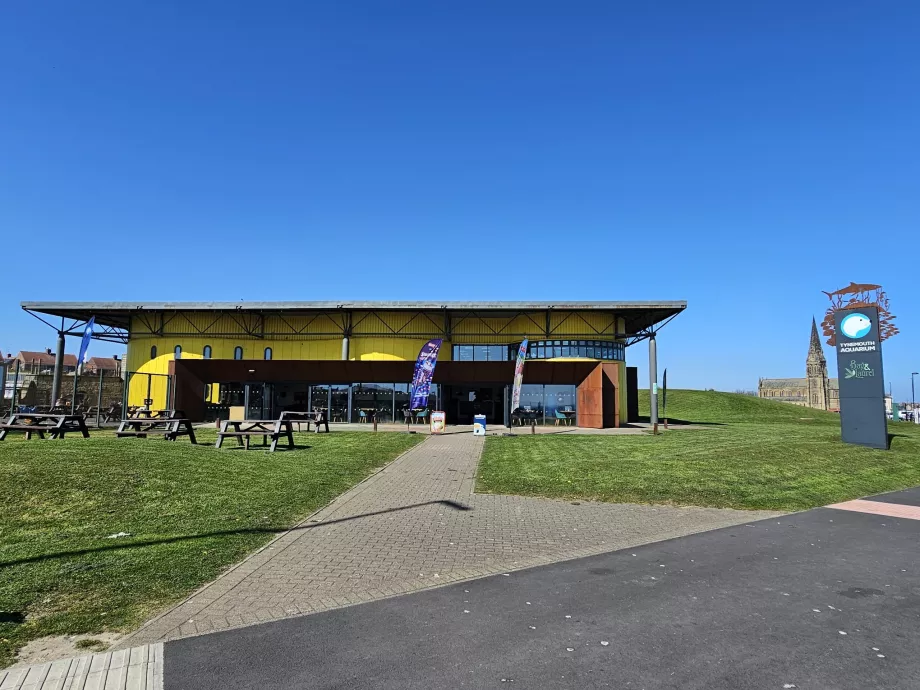 Acvariul Tynemouth