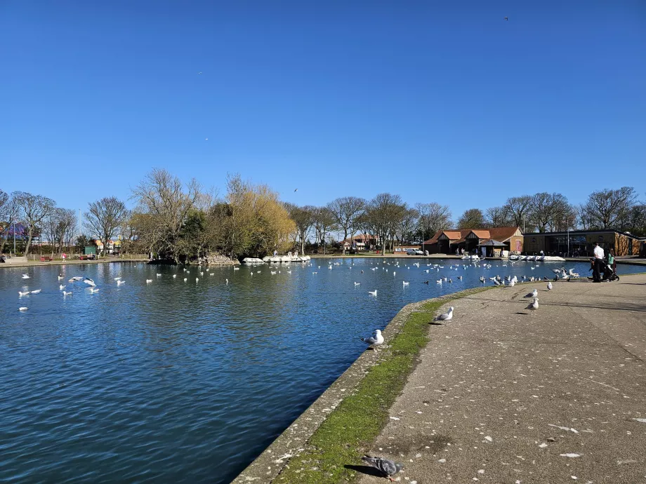 Lacul Yachting
