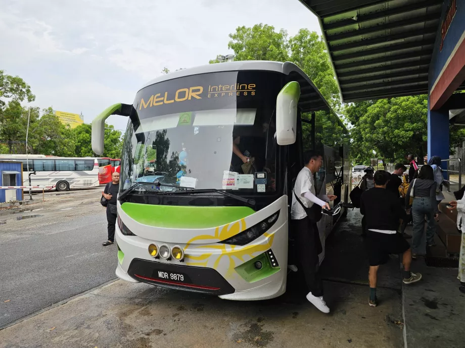 Melor Interline, antrenor