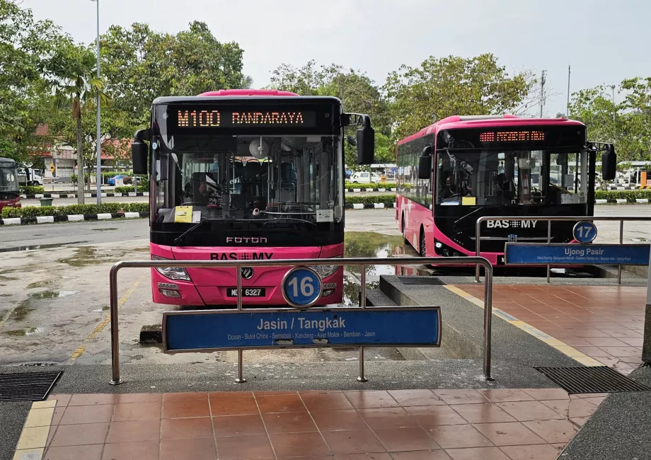 Autobuzul 100 de la stația de autobuz către centru