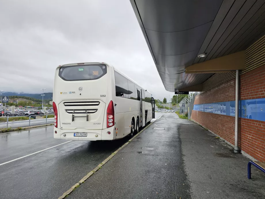 Stația de autobuz 300