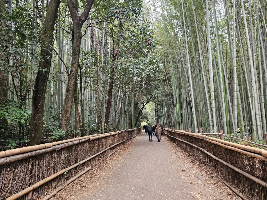 Pădurea de bambus Arashiyama