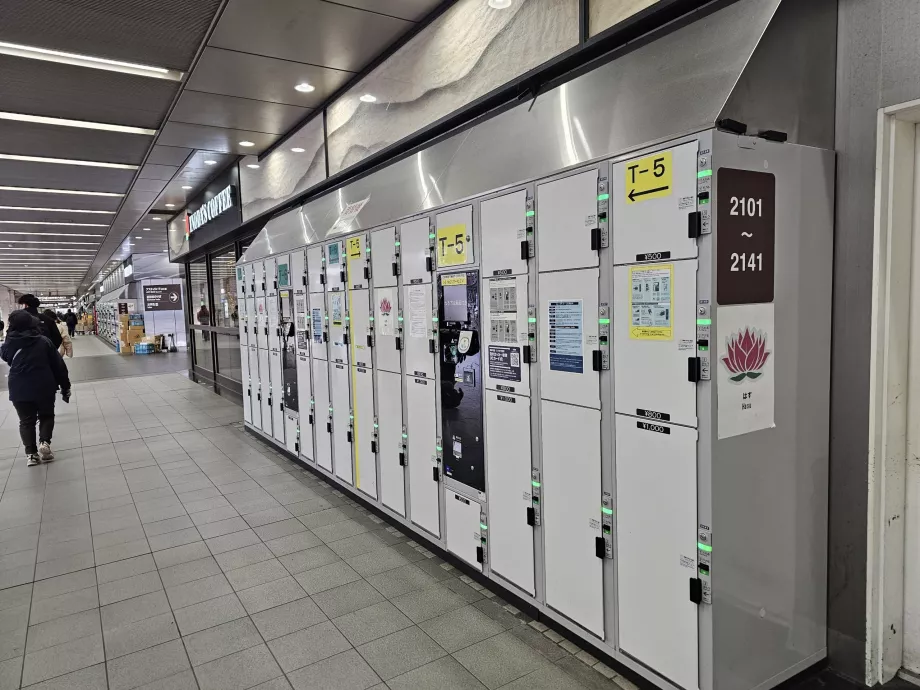 Dulapuri pentru depozitarea bagajelor