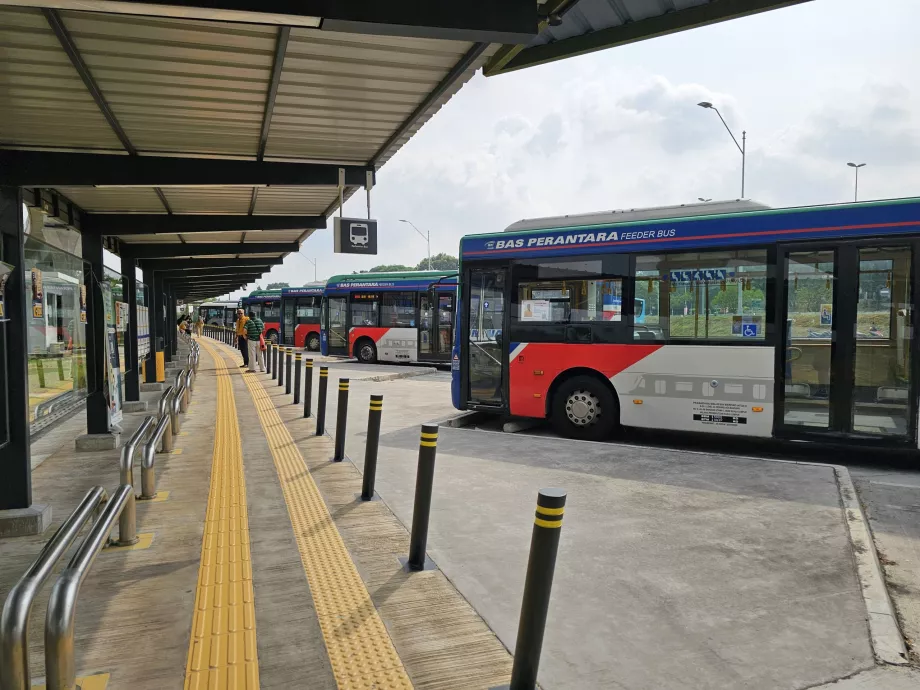 Autobuze urbane