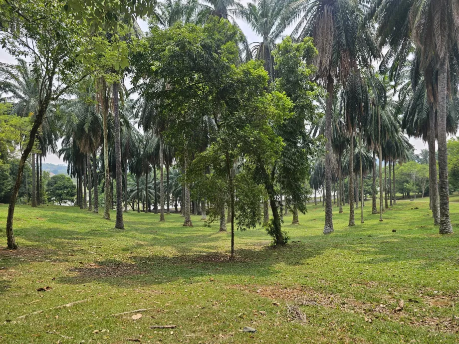 Grădina botanică