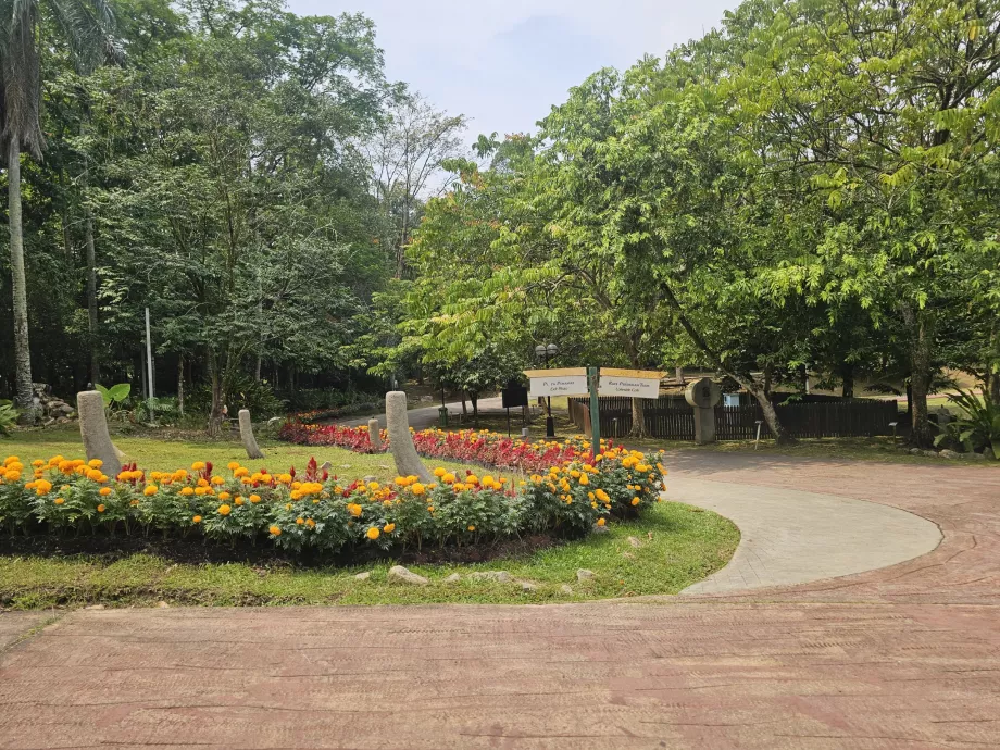 Grădina botanică