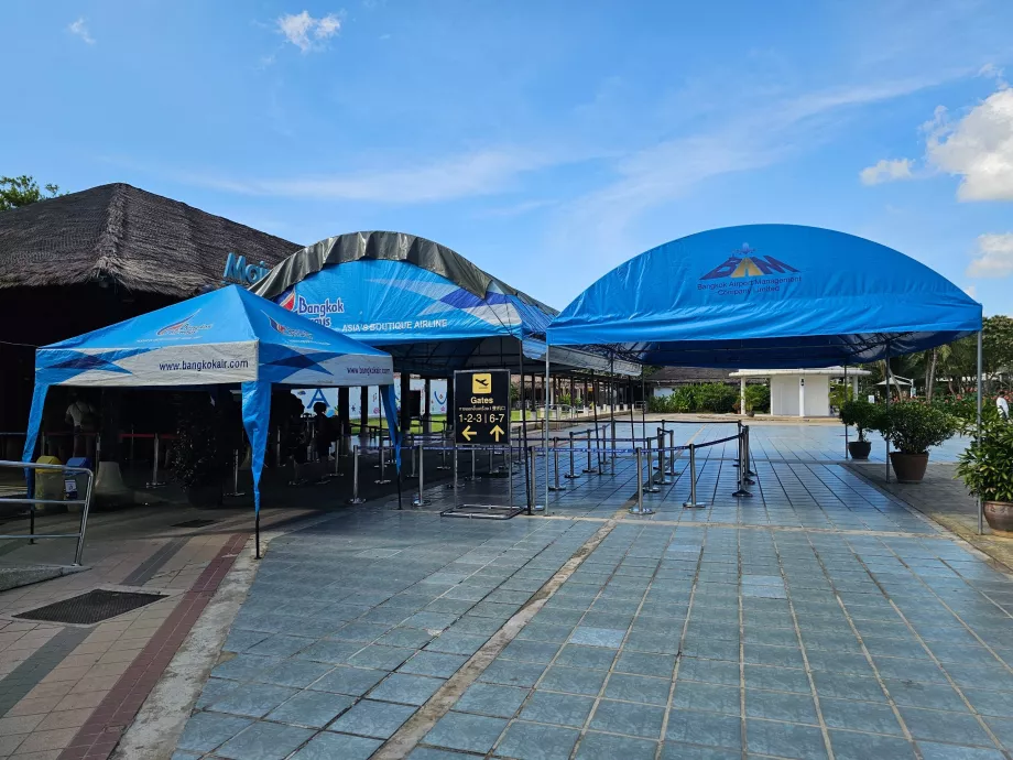 Control de securitate