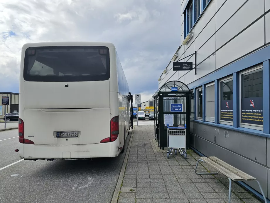 Autobuz Turvogna
