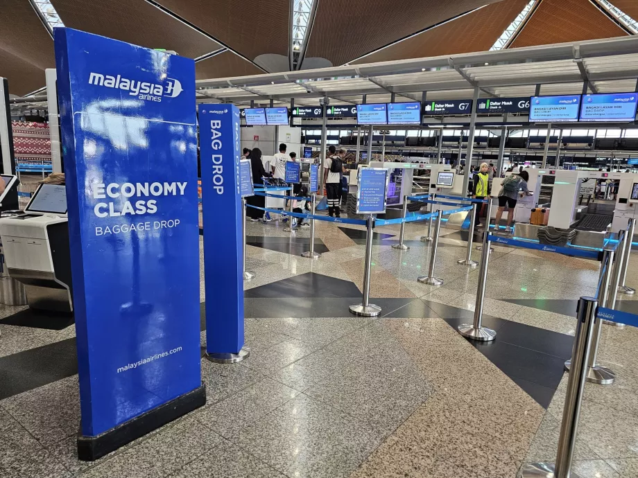 Check-in, Malaysia Airlines
