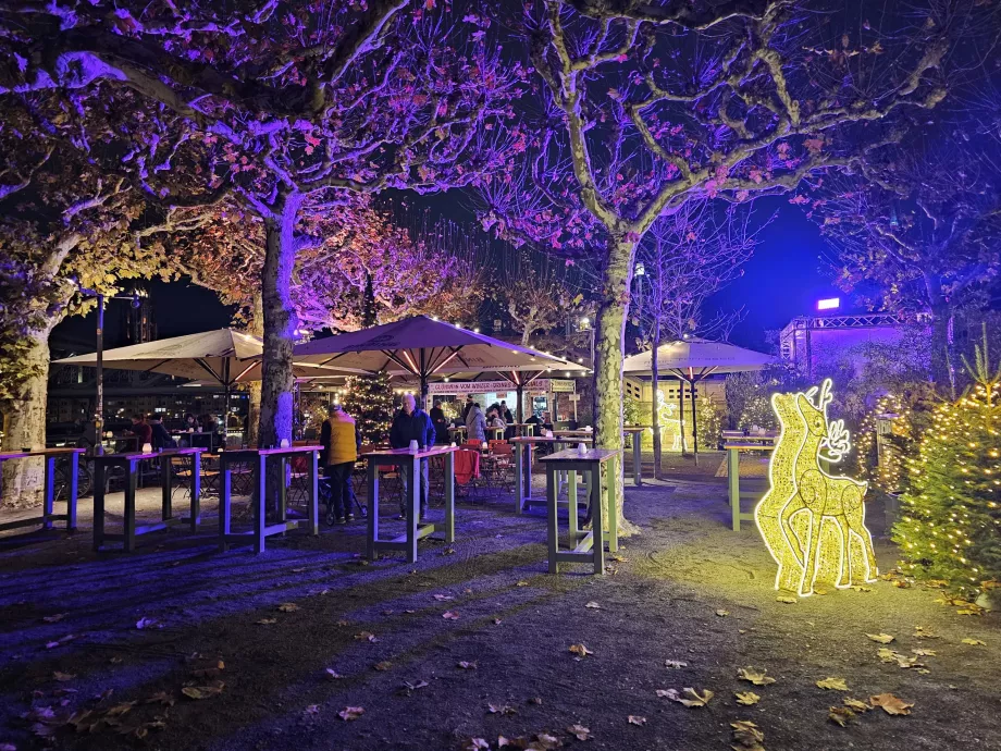 Sachsenhäuser Eisener Steg