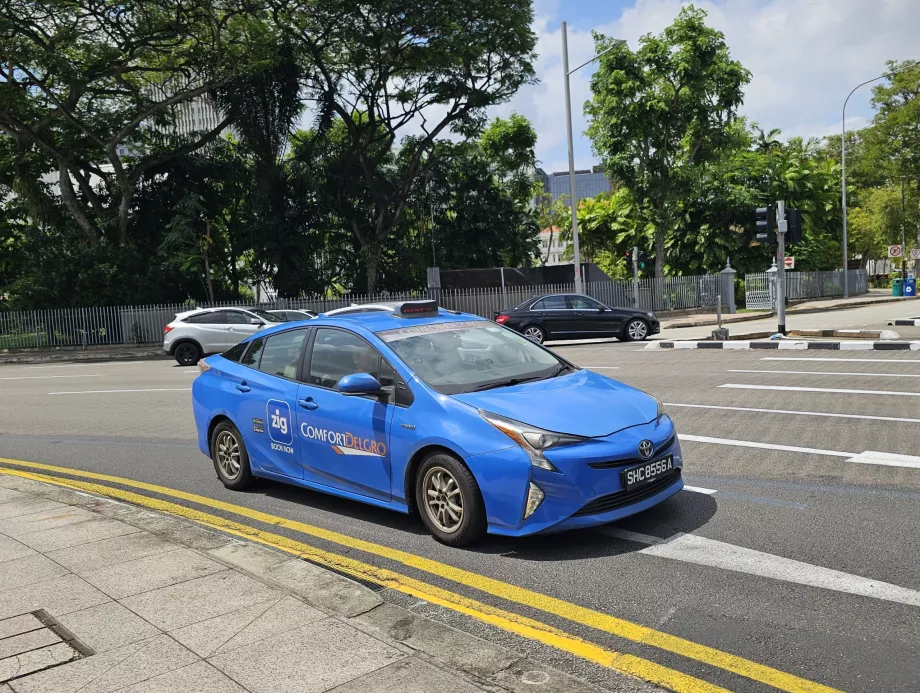 Aplicația oficială Zig