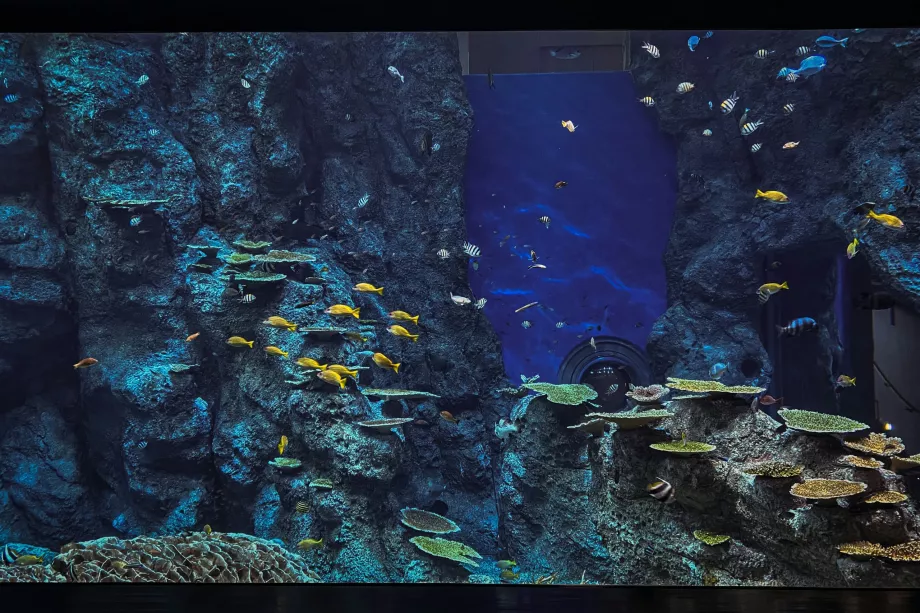 Parcul Sea Life